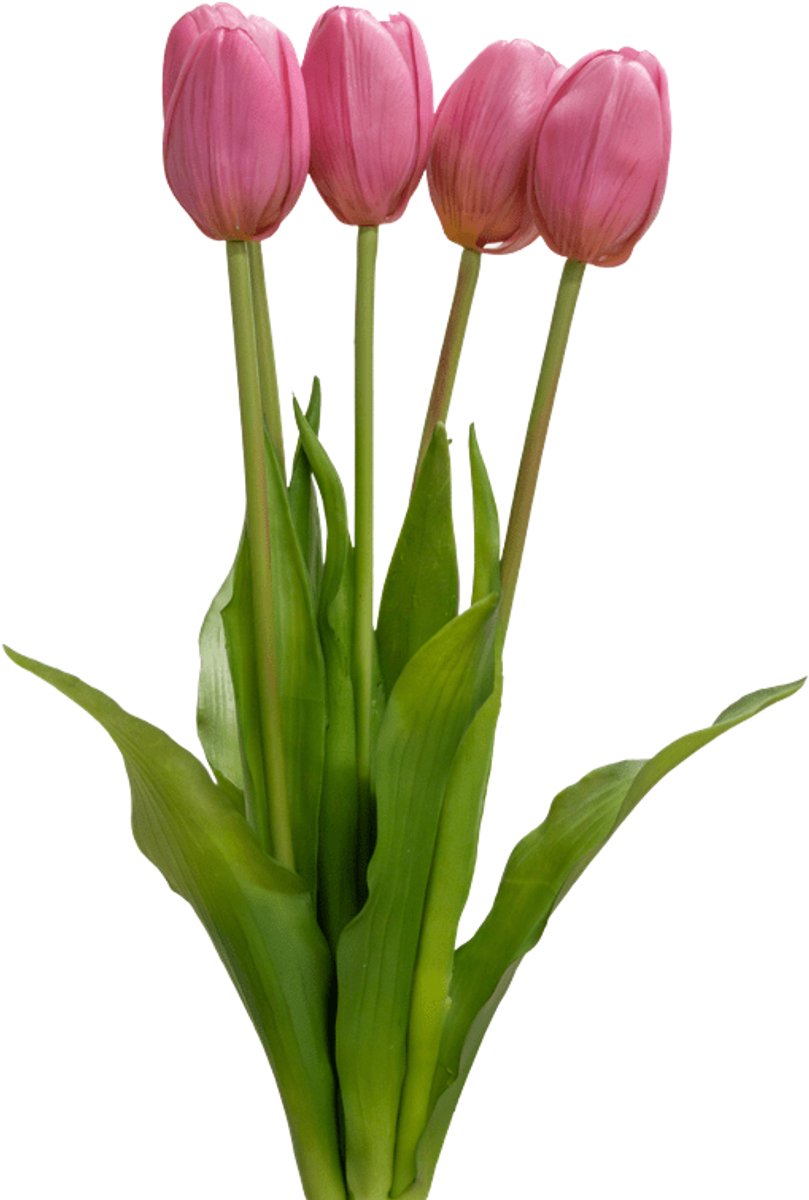 Easyplants | Kunsttulpenboeket Real Touch Paars 40 cm | Zijde | Nepbloemen | paars | Onderhoudsvrij | Kant-en-klaar