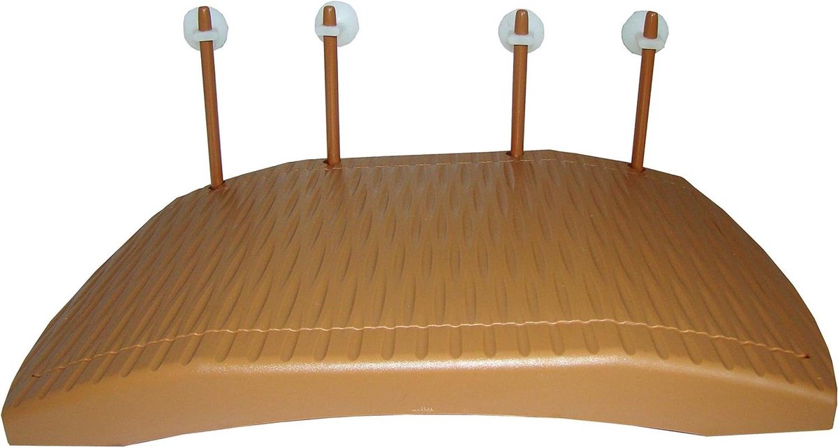 Turtle Platform - Drijvend Eiland - Reptielen Verzorgen - Zelfaanpassend Waterniveau - 30 cm - Groen