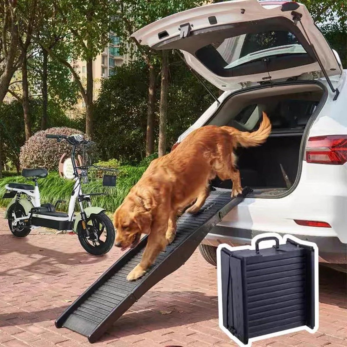 Hondenoprit - Hondenladder - Auto Toegang - Opvouwbaar Lichtgewicht - 151 cm Lang - Grijs