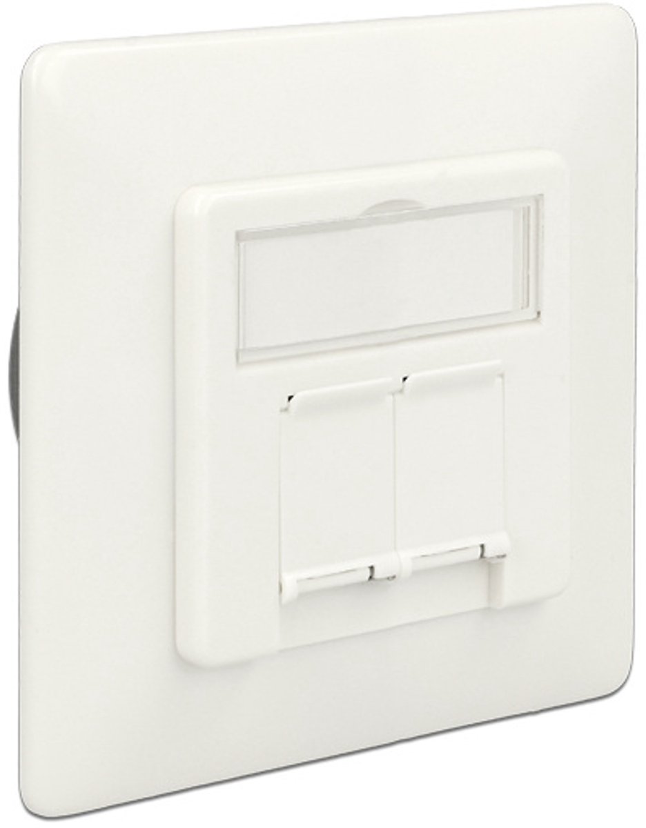 Delock Modular Wall Outlet flush mount 2 Port Cat.6A LSA