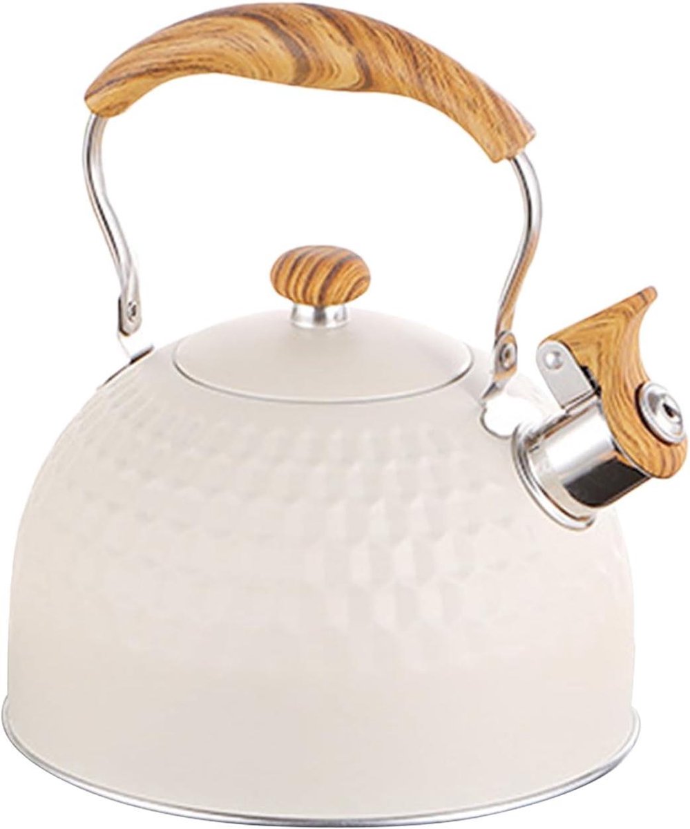 Theeketel met Fluit - Waterkoker Fornuis - Snel Water Koken - Snelle Verwarming Bodem - 25 Liter - Zilverkleurig