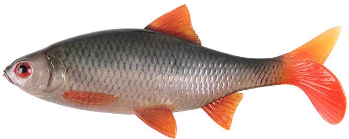 Fox Rage Ultra Realistic Replicant Roach 14cm / 29g
