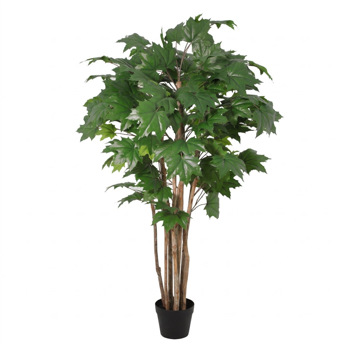 Florafy Kunstplant Esdoorn 150cm - Kunstplanten voor binnen - Onderhoudsvrij Groen
