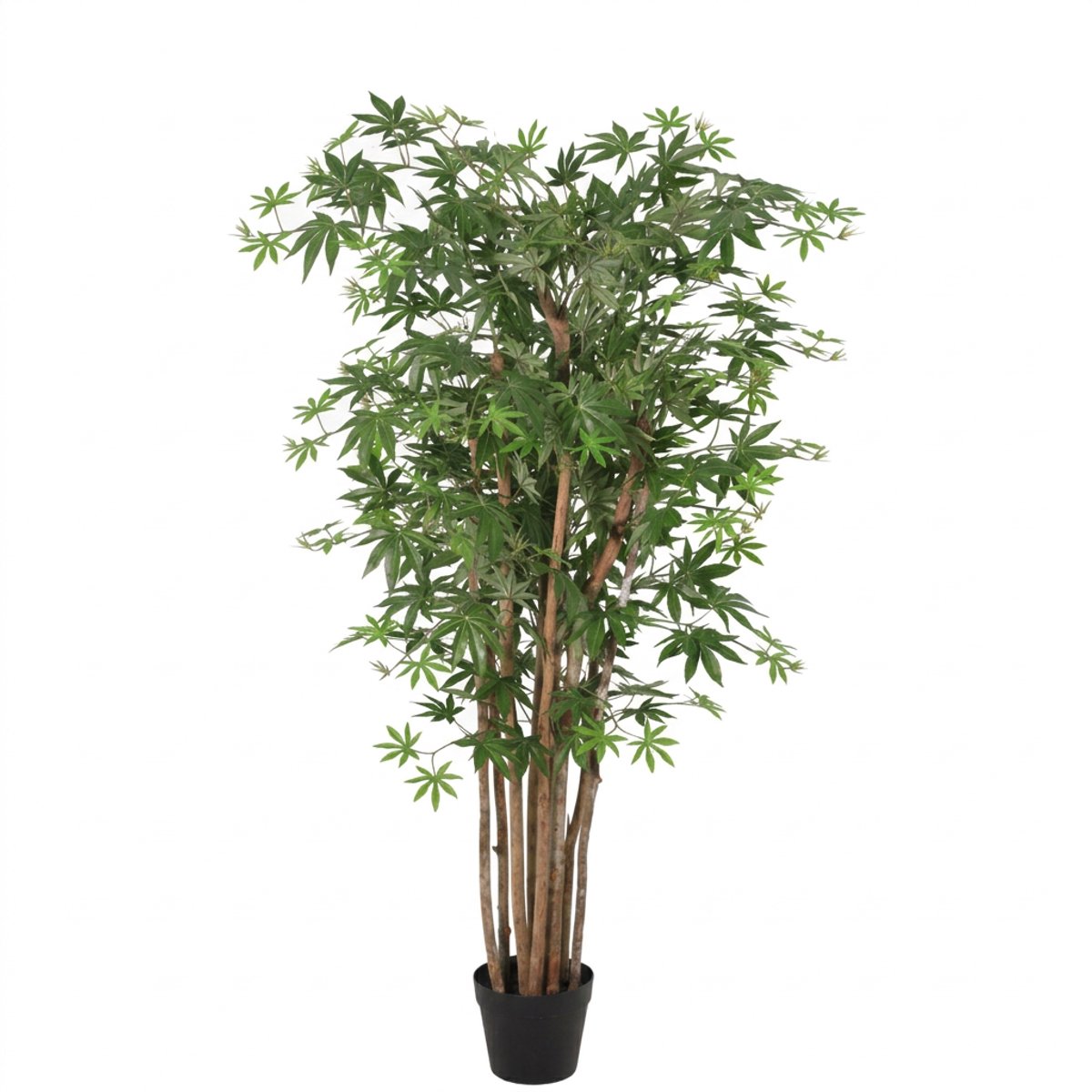 Florafy Kunstplant Acer 150cm - Kunstplanten voor binnen - Onderhoudsvrij Groen