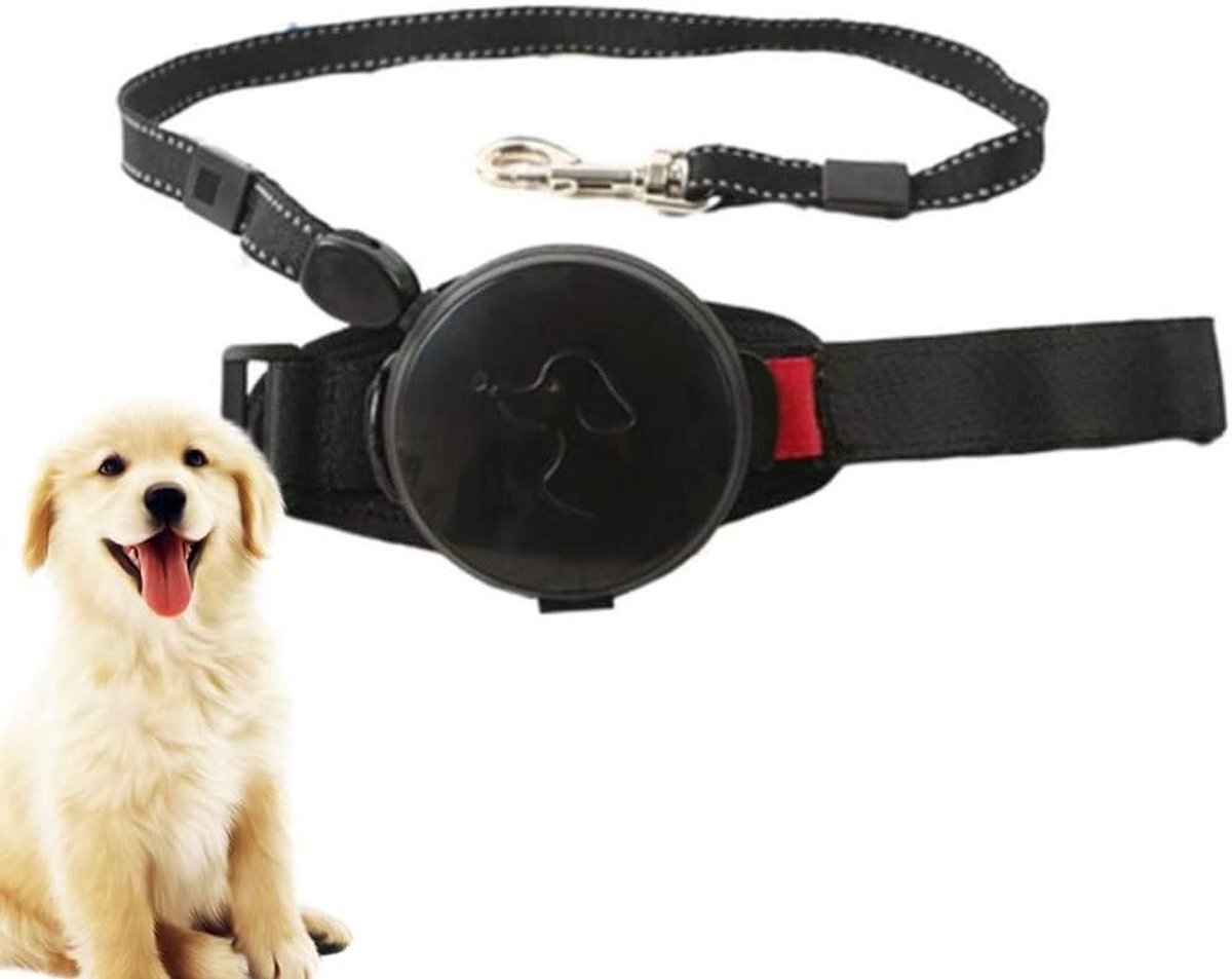 Intrekbare Hondenriem - Uitschuifbarelijn - Handsfree Wandelen - Automatisch Vergrendelmechanisme - 10 Meter - Zwart