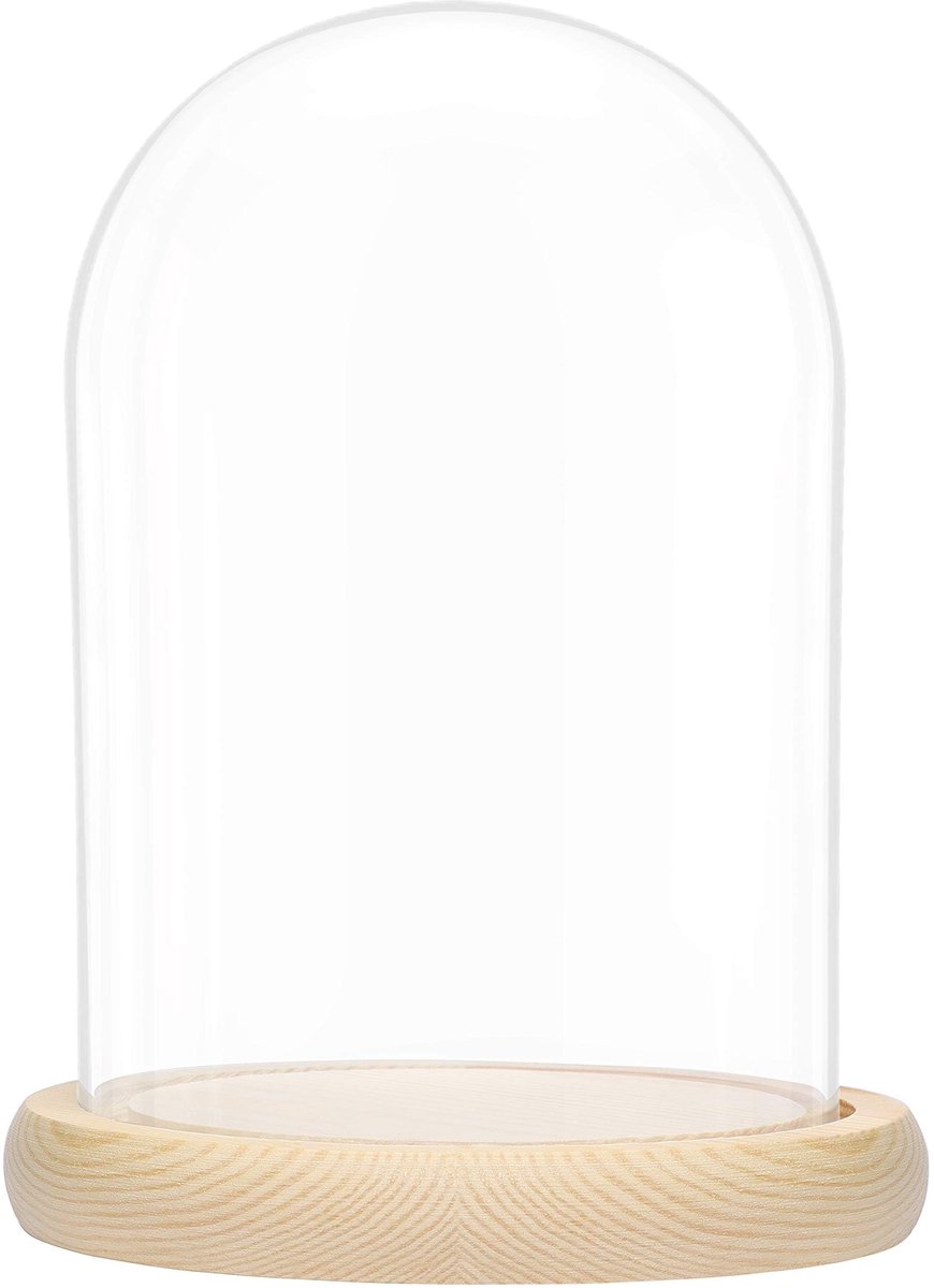 Allecto - Grote Glazen Stolp Bel Fles - Decoratieve Display Case - Natuurlijk Houten Basis - Helder - Bescherming voor Verzamelstukken - Geschikt