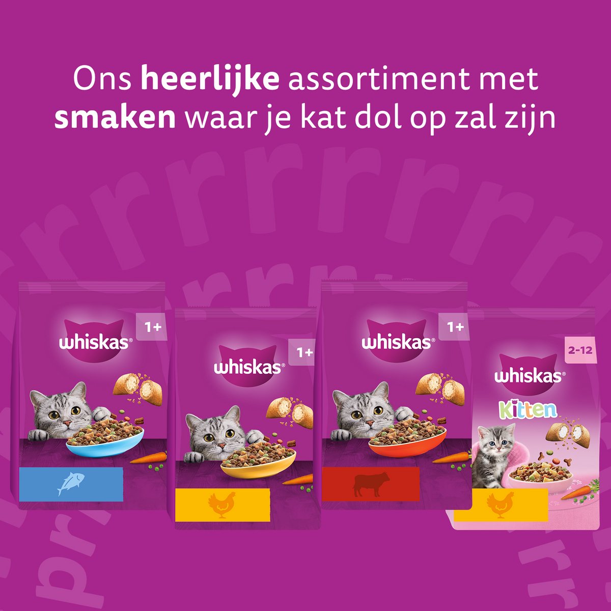 Whiskas Adult 1+ kattenbrokken kip 3 x 3,8 kg thumbnail 4