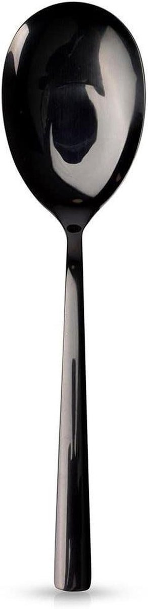 Saladelepel - Opscheplepel - Serveren van salades - Duurzame coating - 25 cm - Zwart