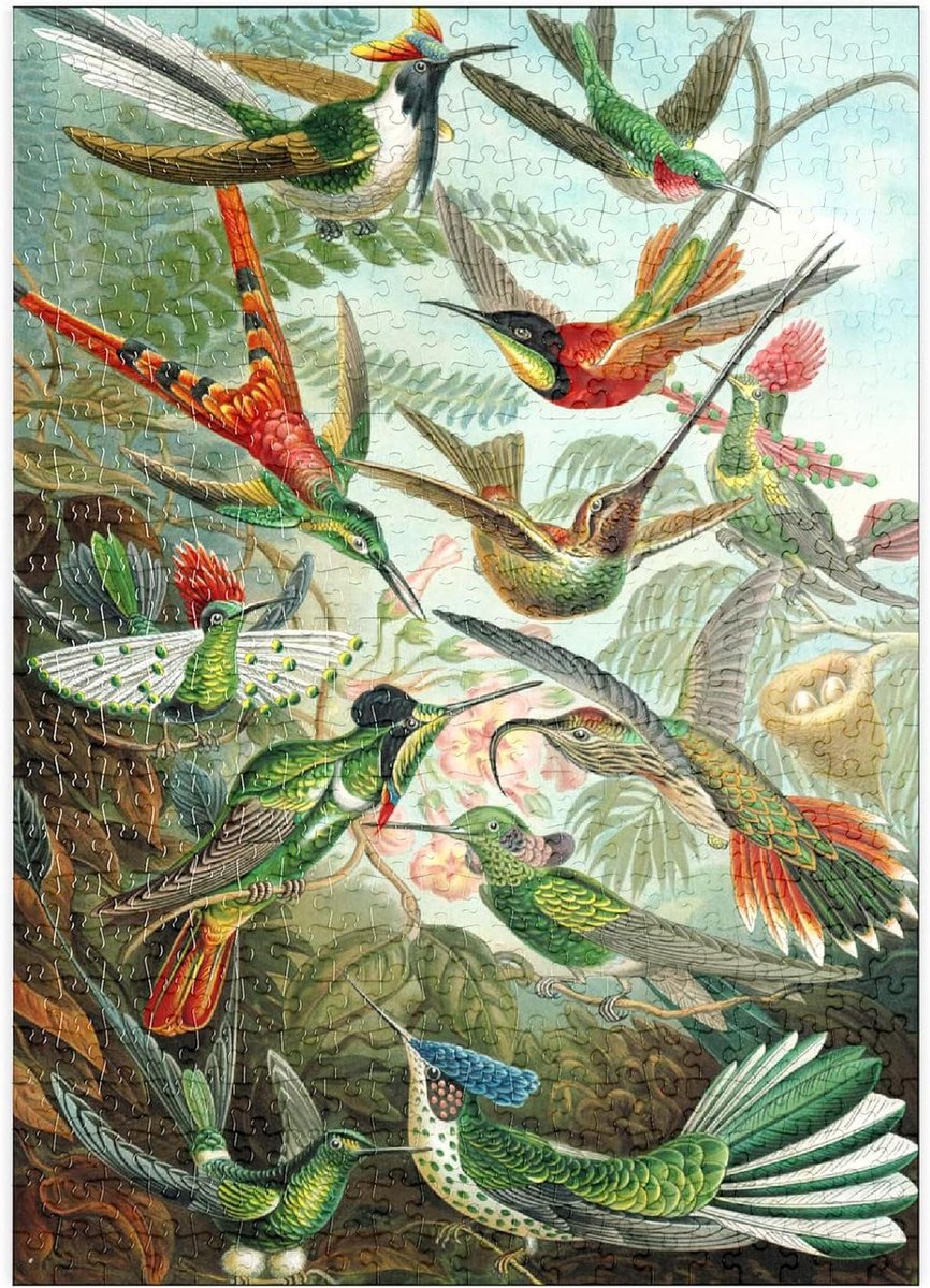 Legpuzzel Kolibries - Vogelpuzzel - Ontspanning thuis - Premium kartonkwaliteit - 500 stukjes - Veelkleurig