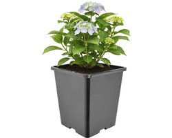 Garronda Hoge vierkante kunststof bloempot met drainagegaten voor tuin (Zwart, 20,5 x 20,5 x 23,5 cm (7L)) GD-KW-HS