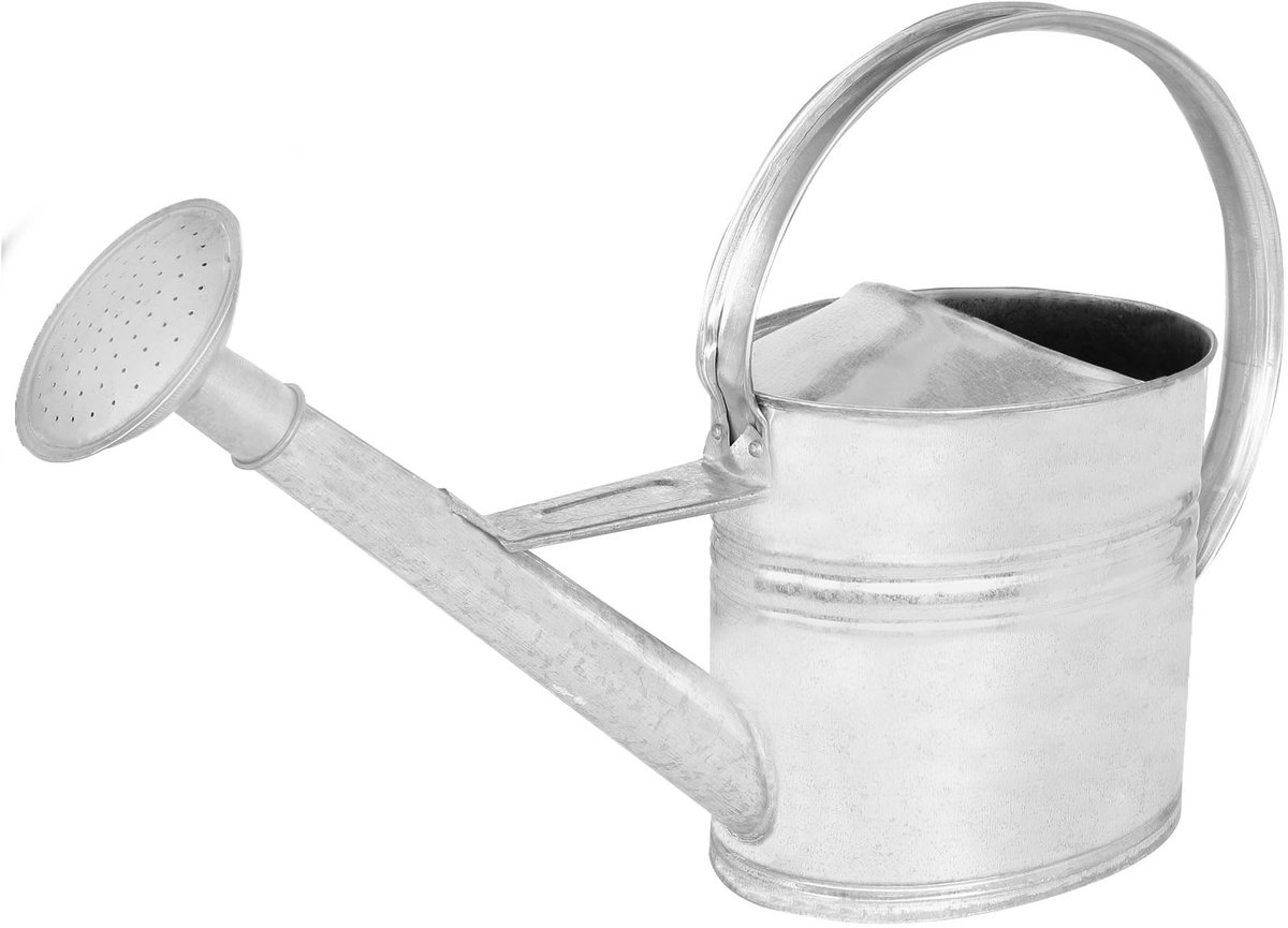 KOTARBAU® Gieter, Plantengieter, Verzinkt Staal, 8 L, Zilver, Met Afneembare Broes, Bloemengieter, Ergonomische Handgreep, Kamerplanten Gieter