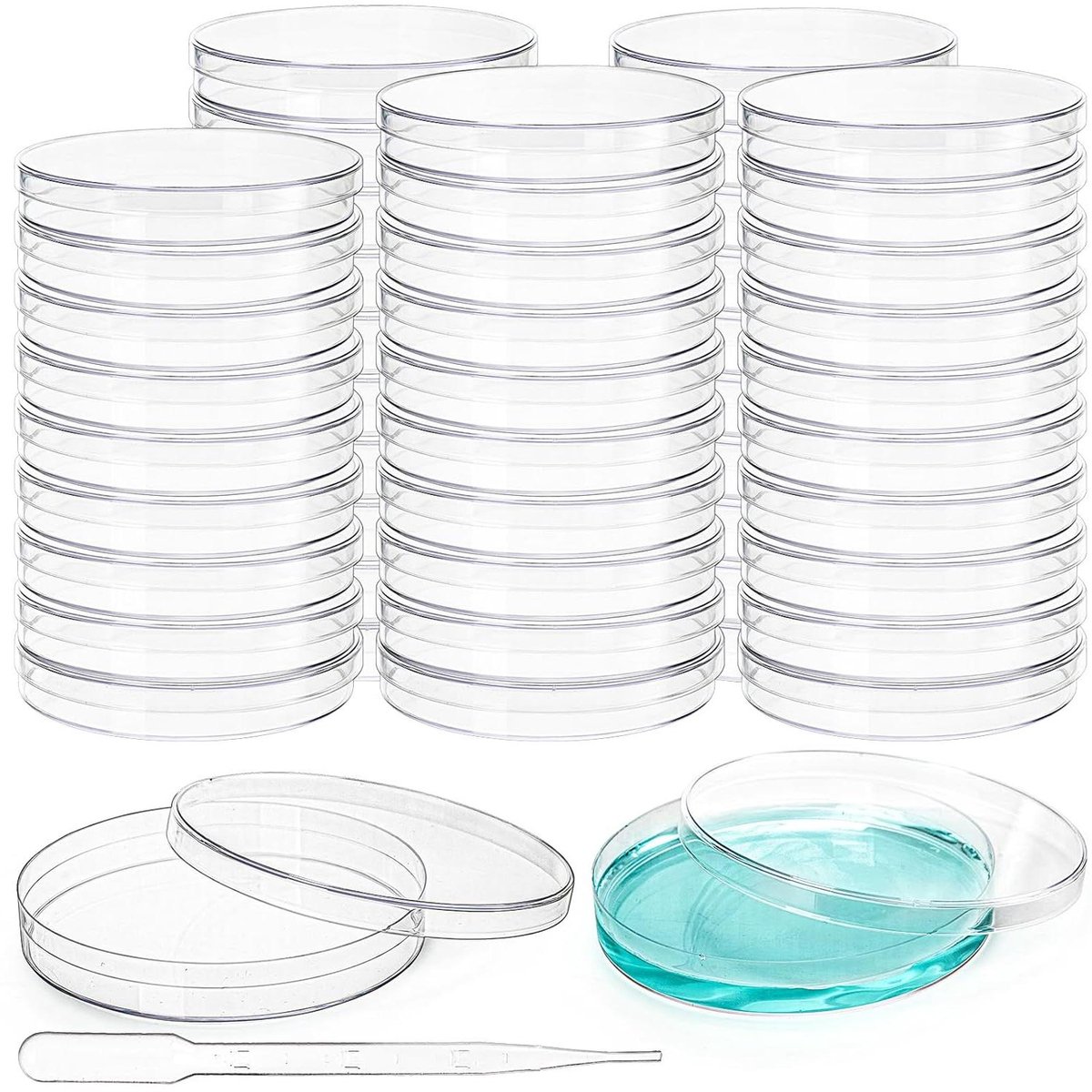 Petri Schalen - Bacterie Schalen Cultuur - Laboratorium Onderzoek - Steriel en Transparant - 90mm x 15mm - Transparant