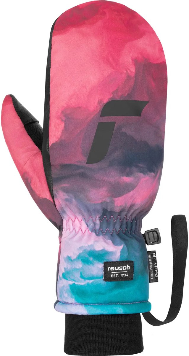 Skiwanten Reusch Carter R-TEX XT Wolken