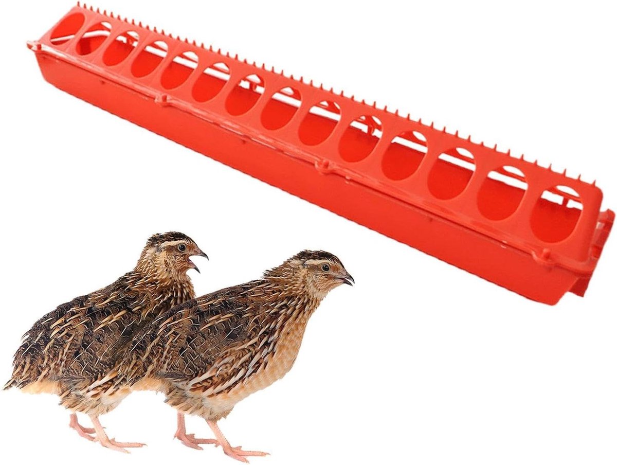 Kuikenvoederbak - Pluimveevoer Broedvoederbak - Boerderij Kuikenvoerbak,Voor Kwartels, Eenden, Vogels, Duiven, Kalkoenen, bij gebruik Buiten, in de Achtertuin, in het Hok, en op de Boerderij