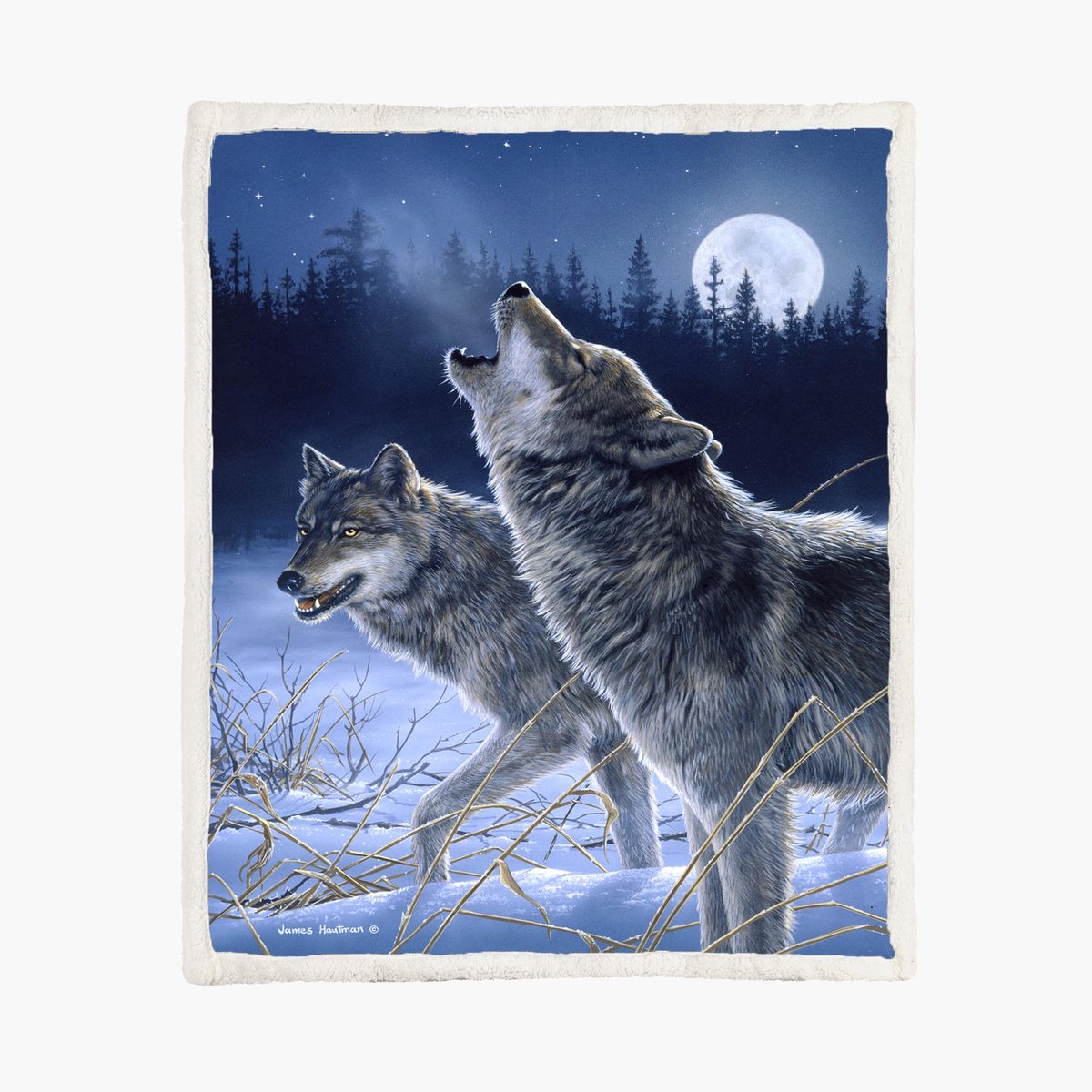The Coloured House Fleece Deken 150*200cm Howling In The Moonlight Wolven Multicolor