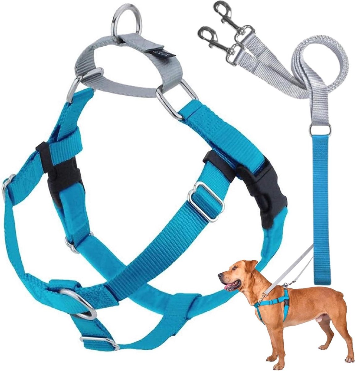 Hondentuig met riem - Anti-trek tuig - Comfortabel wandelen - No-Pull ontwerp - XL 1 inch - Turkoois