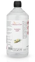 Beauty&Care® Sauna Opgietmiddel - Eucalyptus - Opgietconcentraat voor Emmer & Saunakachel - tot 100x Opgieten - Geuren met Etherische Olie - Verzorging & accessoires - 1 liter fles