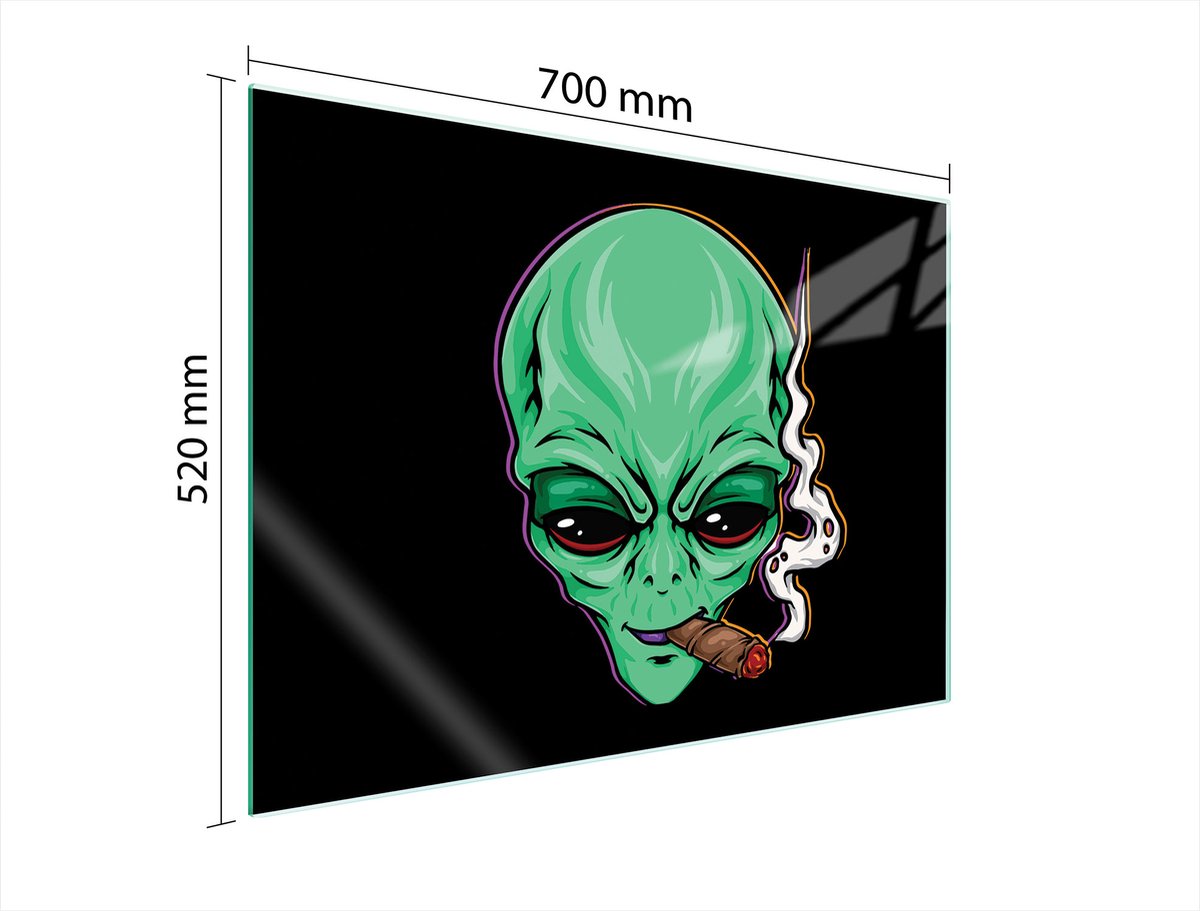 TMK ArtDeko - Kookplaat achterwand - 70x52 cm - Gehard Glas - UFO Motief