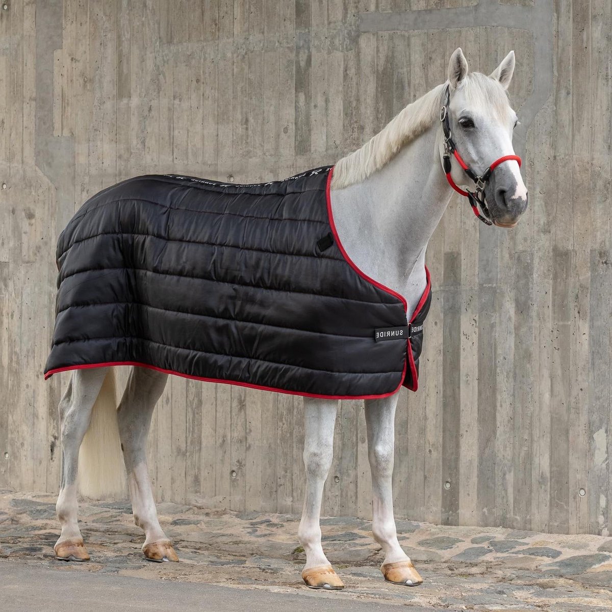 Onderdeken Paard - Paardendeken Isolatie - Paard Warm Houden - 300g Polyester Vulling - 115cm - Rood