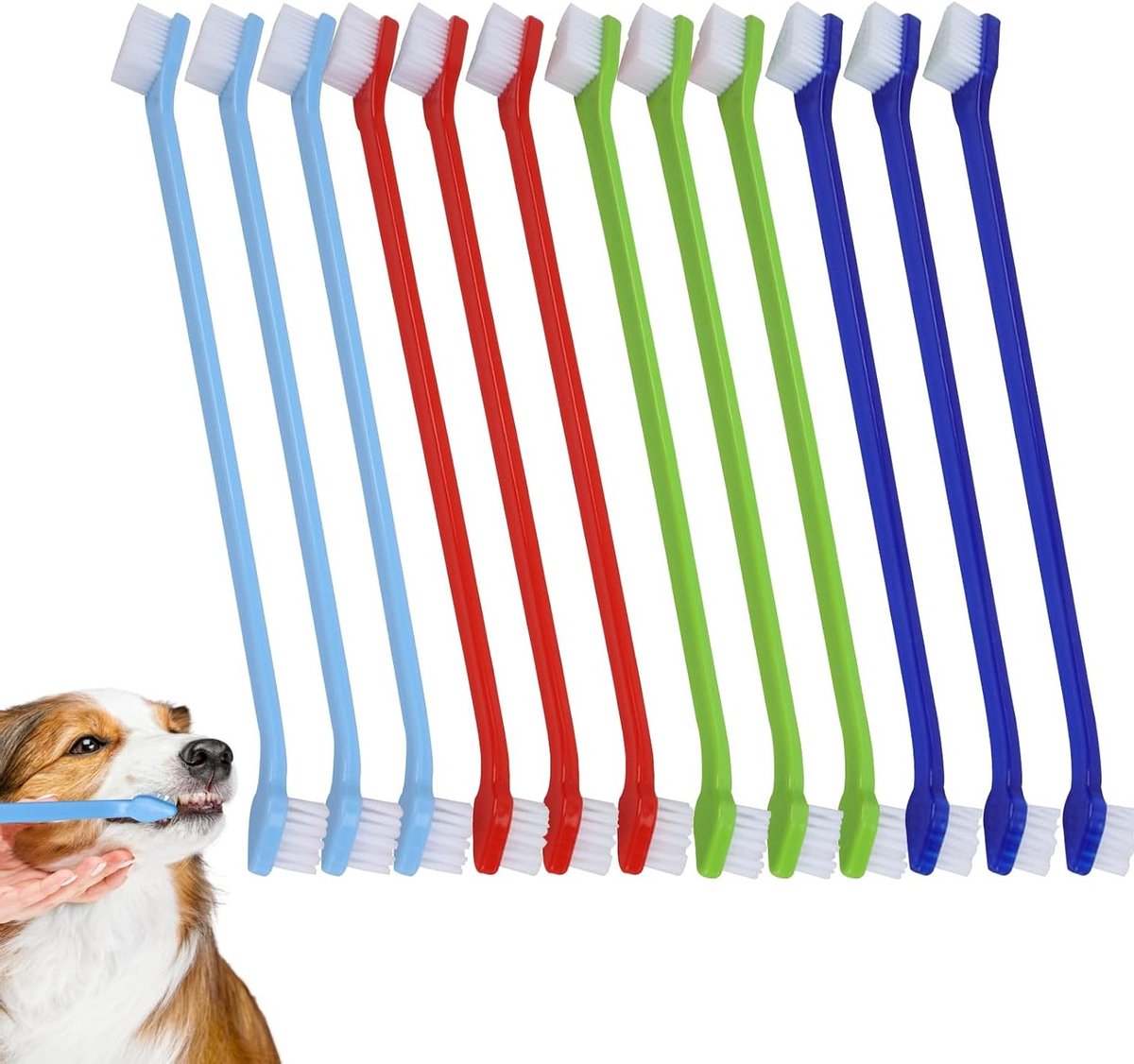 Multifunctionele Tandenborstelset voor Huisdieren, 30 Stuks met Dubbele Kop en Lange Steel, Ideaal voor Honden en Katten, Effectieve Mondverzorging en Tandhygiëne