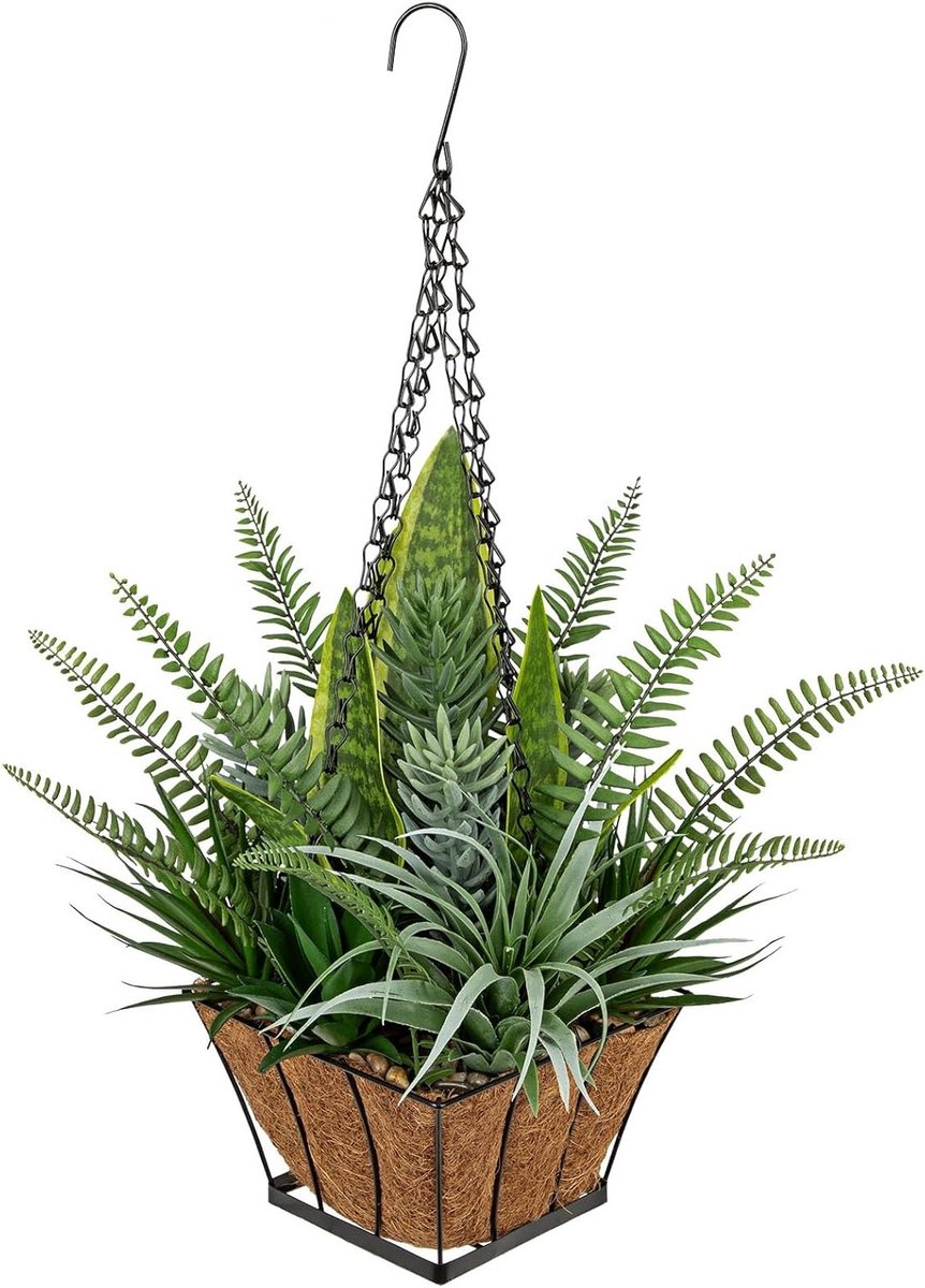 Hanging Plants in Basket 55cm - Nepplant Mix van Slangenplant, Varen en Vetplanten met Kokosvezel en Metalen Pot voor Binnen en Buiten, Perfect voor Balkon en Terras