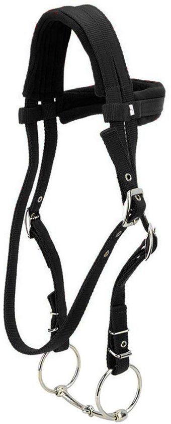Dailygoody - Paardentrens hoofdstel - Verstelbaar harnas - Zacht kussen - Rood - Halster voor paard - Bit met teugel - Geschikt voor medium paarden Dailygoody - Paardentrens hoofdstel - Verstelbaar harnas - Zacht kussen - Rood - Halster voor paard - Bit met teugel - Geschikt voor medium paarden