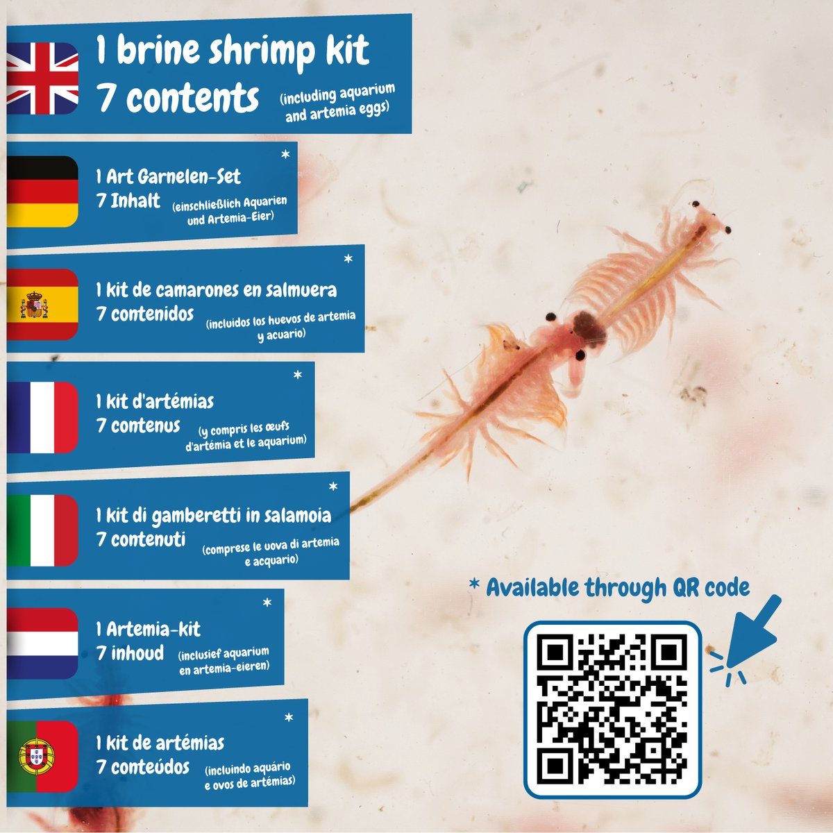 Science4you Jurassic Creatures voor kinderen 6+ - Kweek prehistorische zeedieren met je Triops-kit, inclusief klein aquarium, Creëer een ecosysteem met zeedraken, Science Kits voor kinderen — cadeau in Spellen & Speelgoed - foto 6