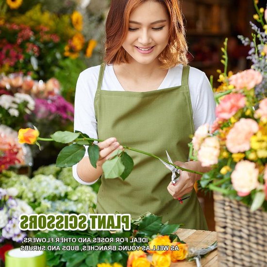 Dailygoods- Plantenschaar - Snoeischaar - Takkenschaar - Oogstschaar - Voor Tuin/Bonsai - Geschikt voor Planten/Bloemen/Rozen van Dailygoods — afbeelding 3