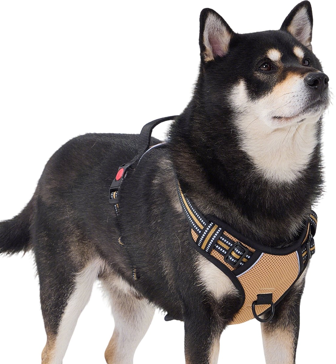 Filo Y-Tuig Anti Trek L Beige - Reflecterend Hondentuig Grote Hond - Hondenharnas Easy Walk - Hondentuigje - Harnas - Honden Tuigje