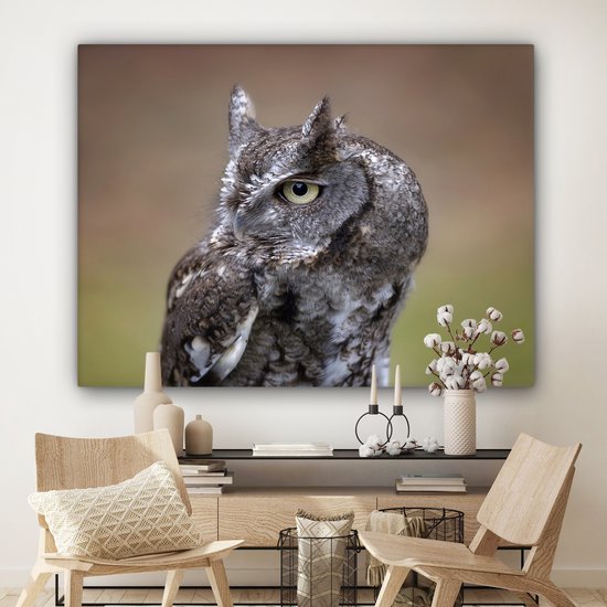 Gros plan d'un petit hibou sur toile 160x120 cm - Tirage photo sur toile (Décoration murale salon / chambre) XXL / Groot format!