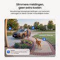 Man loopt naar auto, hond rent op oprit met bewegingszones voor persoon, voertuig en dier.