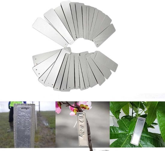 Zilverkleurige, rechthoekige aluminium plantenlabels, 8,2 x 2,5 cm. Getoond op een paal, bloesemtak en plant.