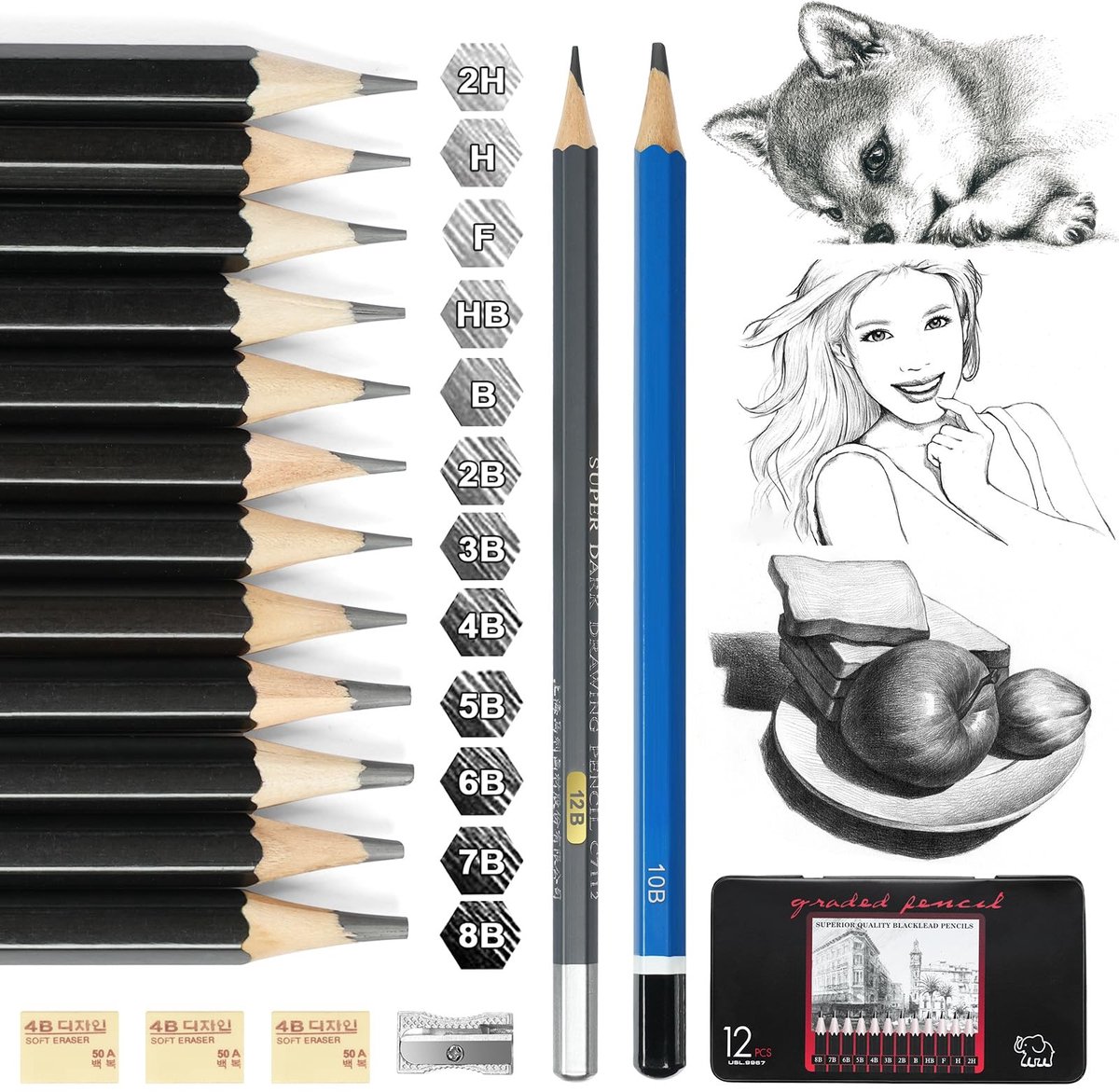 Dailygoods - Dailygoody - Potloodset - Tekenpennen - 14-delige Kunstpenenset - Geschikt voor Beginners - Met Blik - Grafietpotloden - Kinderen en Artiesten