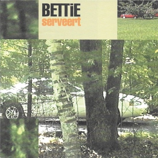 Bettie Serveert - Dust Bunnies (CD)