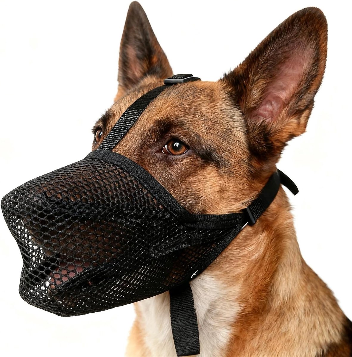 Verstelbare Nylon Hondenmuil voor Grote Honden, Maat XL, Voorkomt Bijten en Inslikken van Voorwerpen, Comfortabel en Duurzaam