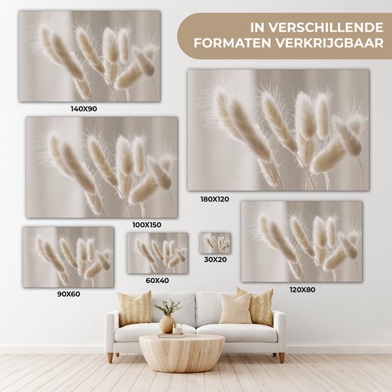 Tableau sur toile Herbe de la Pampa - Plume - Wit - 120x80 cm - Décoration murale