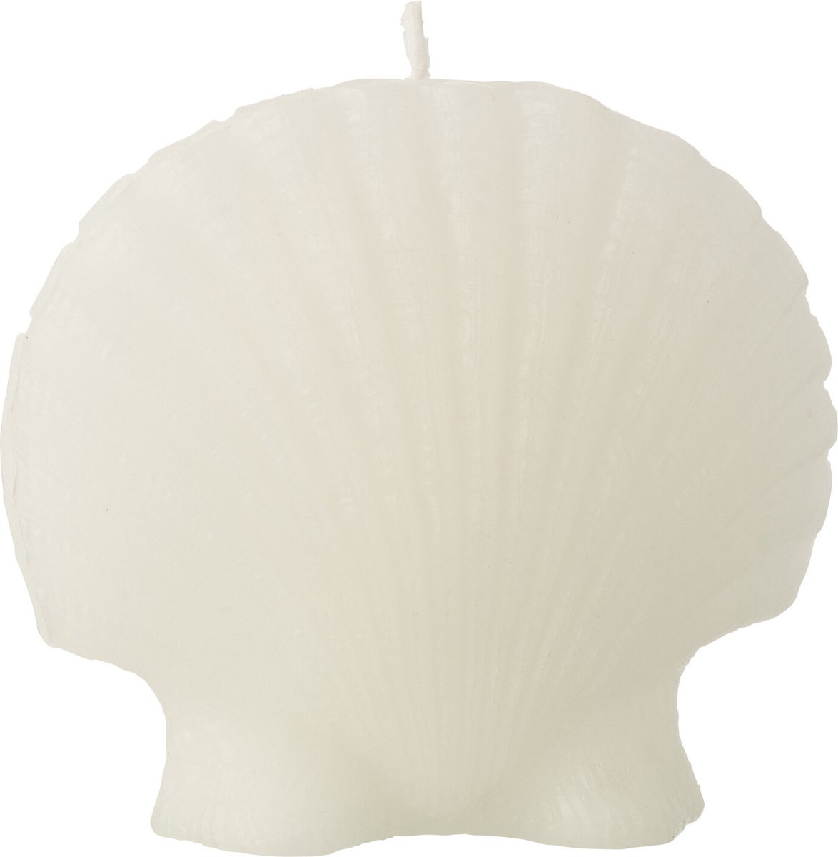 J-Line kaars Schelp - wit - large - 8U