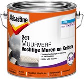 Alabastine 2 in 1 Vochtige Muren en Kelders Muurverf - Helder wit - 2,5 liter