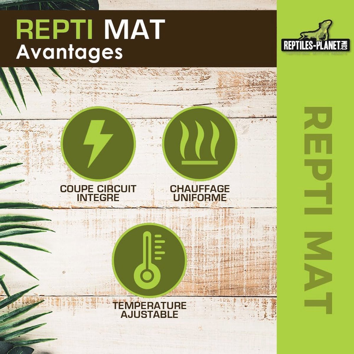 Verwarmingsmat Voor Reptielen En Amfibieën | Instelbare Temperatuur Waterdicht 15x28 Cm