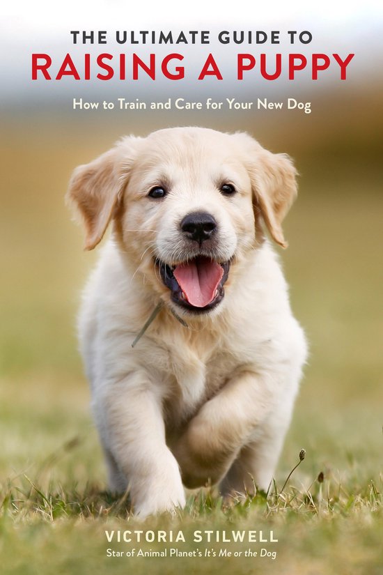The Ultimate Guide to Raising a Puppy How to Train and Care  ... - cover