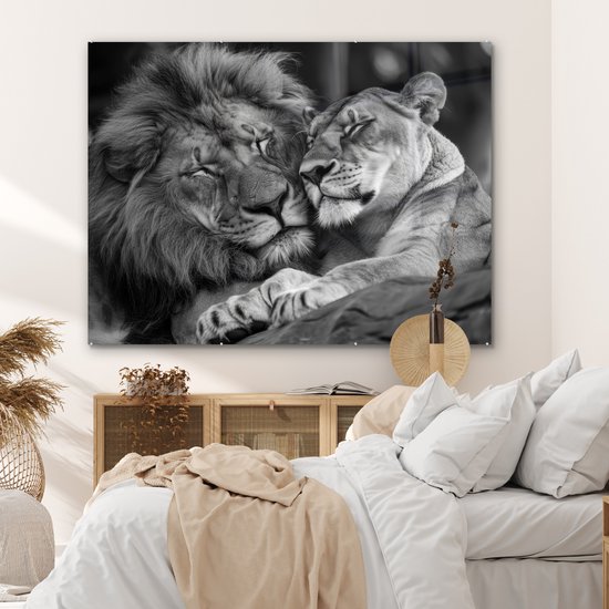 MuchoWow® Glasschilderij 160x120 cm - Schilderij acrylglas - Leeuwen - Dieren - Zwart - Wit - Leeuw - Foto op glas - Muurdecoratie woonkamer - Wanddecoratie slaapkamer - Schilderijen