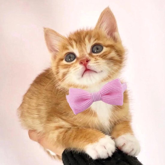 YUDOTE Ultra-zachte halsband van natuurlijk katoen, corduroy gemaakt voor katten met een gevoelige huid, lichtgewicht kittenhalsbanden met snelsluiting en afneembare strik, rood, 1 stuk YUDOTE Ultra-zachte halsband van natuurlijk katoen, corduroy gemaakt voor katten met een gevoelige huid, lichtgewicht kittenhalsbanden met snelsluiting en afneembare strik, rood, 1 stuk