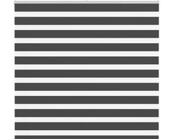 vidaXL - Zebra - rolgordijn - 165x150 - cm - stofbreedte - 160,9 - cm - zwart