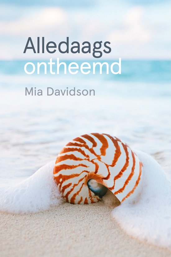 Alledaags ontheemd - cover