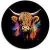 Graffiti - Schotse Hooglander