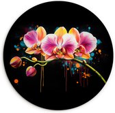 WallCircle® Wandcirkel 60x60 cm - Muurcirkel Orchidee - Graffiti - Kleurrijk - Bloemen - Abstract - Muurdecoratie woonkamer - Wanddecoratie slaapkamer - Kamer decoratie accessoires - Ronde schilderijen