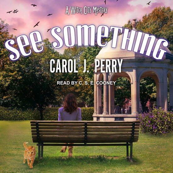 See Something - cover