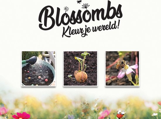 Logo van Blossombs met drie afbeeldingen: water geven aan zaadbommen, ontkiemde zaadbom en een bij op een bloem.