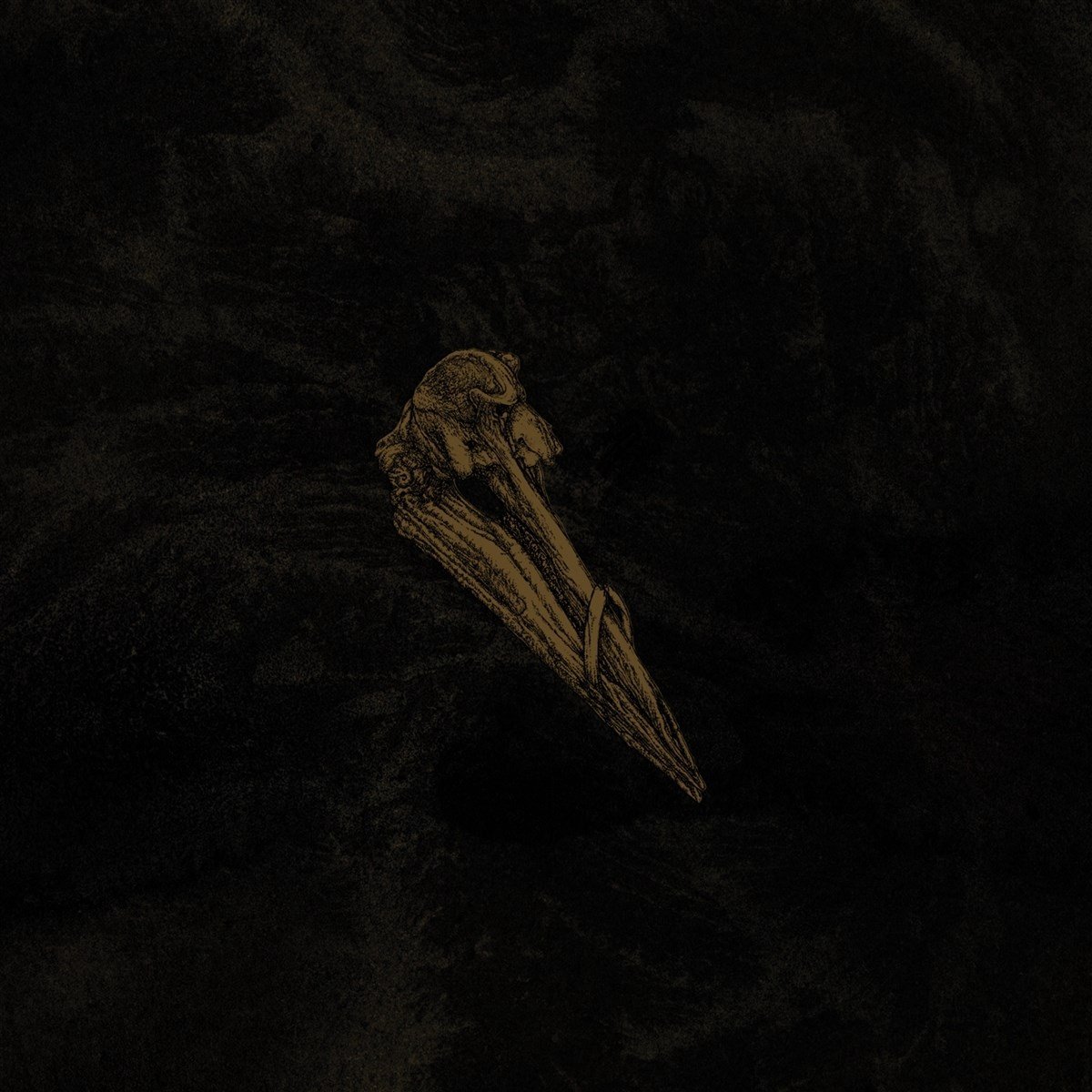 Black Holes Are Cannibals - Surfacer (LP)