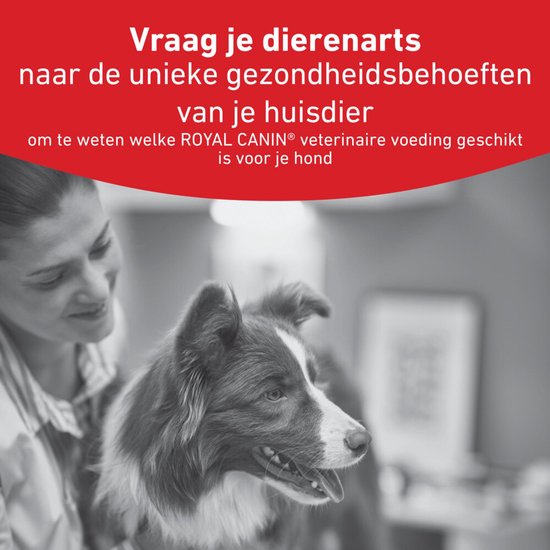 Royal Canin VET-D Glycobalance SD 8 Voeding